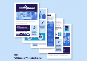 Factsheet Digitale Sprong