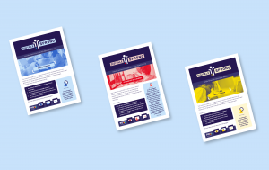 Factsheets Digitale Sprong